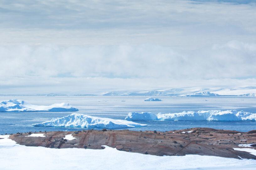 antarktis-naturparadies